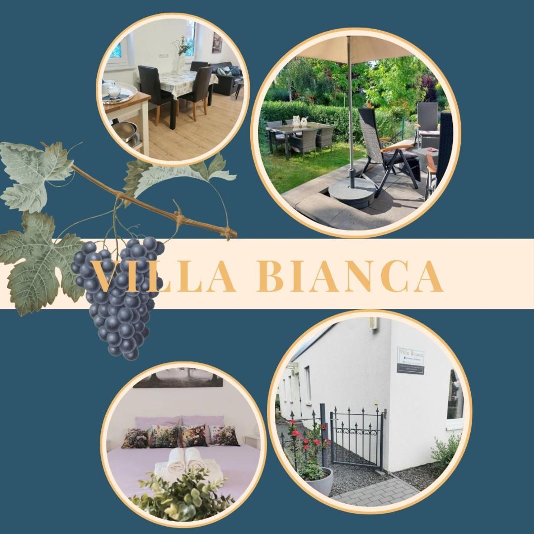 Villa Bianca - Holiday & Business Elsenfeld Exterior foto